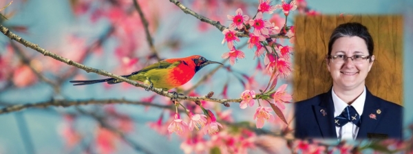 Image Rapport trimestriel du printemps de la Présidente du CPQVO